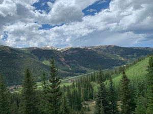 Meet your Posher, Natalie